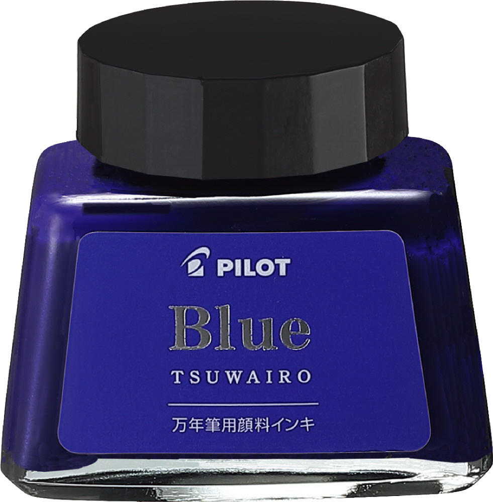 PILOT 万年筆　インク付き 楽天市場】名入れ PILOT コクーン 万年筆スターターセット F
