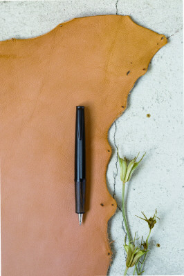 BTL-7SR-DR｜タイムライン〈PAST〉｜PILOTウェブカタログ